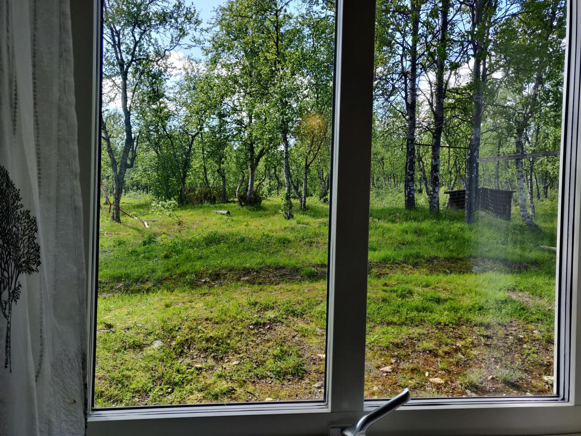 Husky Lodge Hostel Кируна Номер фото