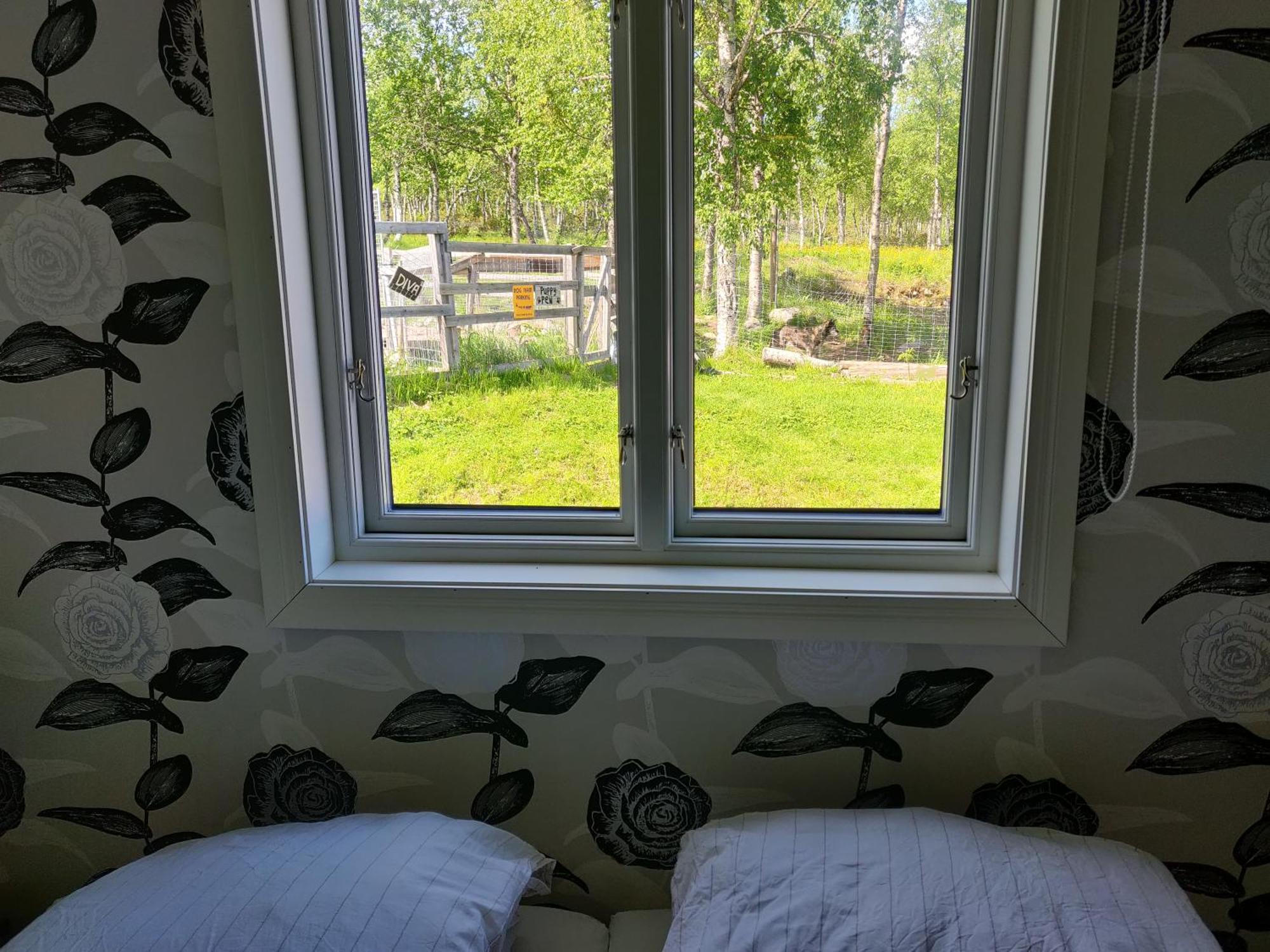 Husky Lodge Hostel Кируна Номер фото