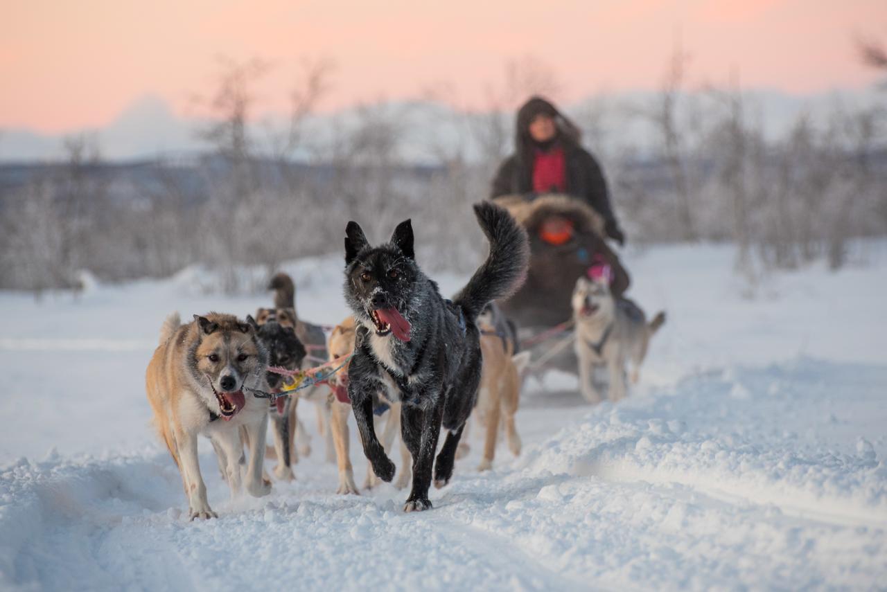 Husky Lodge Hostel Кируна Экстерьер фото