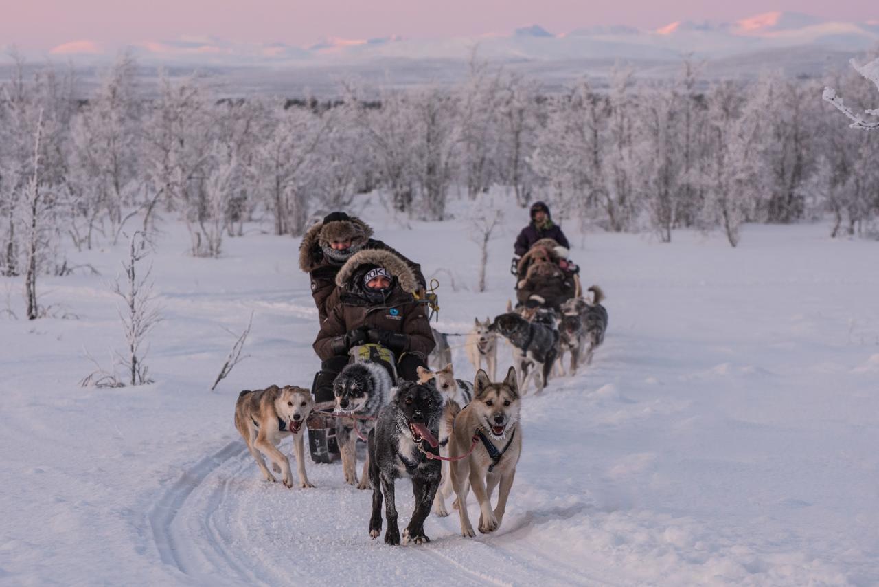 Husky Lodge Hostel Кируна Экстерьер фото