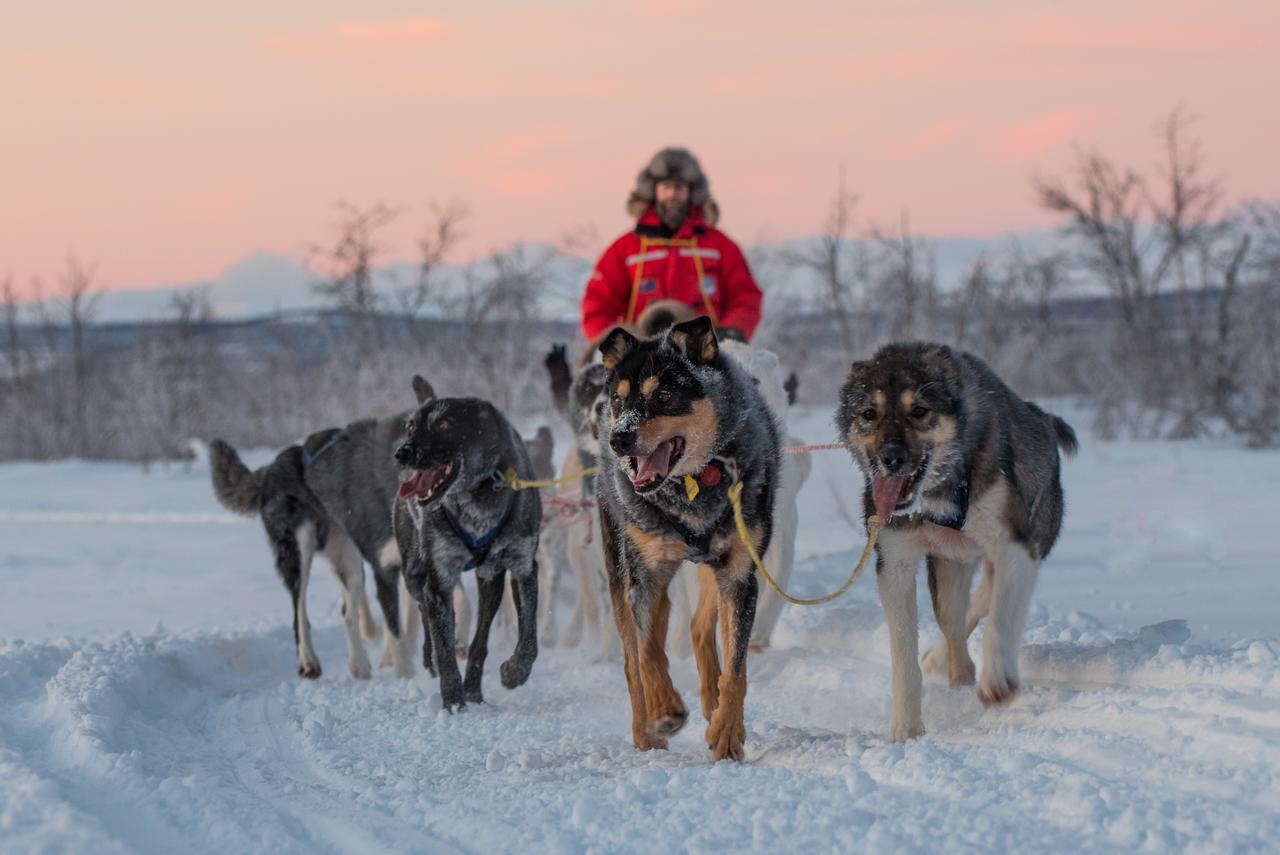 Husky Lodge Hostel Кируна Экстерьер фото